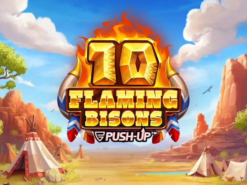 Capa do jogo 10 Flaming Bisons